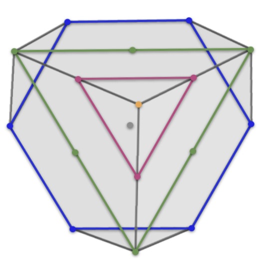 a newton polytope